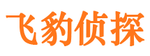 鹤岗侦探公司